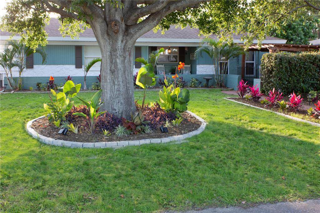 12021 144TH Street - Photo 1