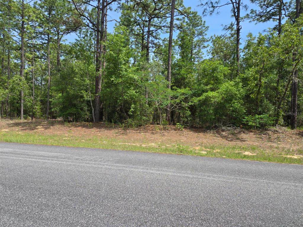  1795 W THUMPER - Photo 1