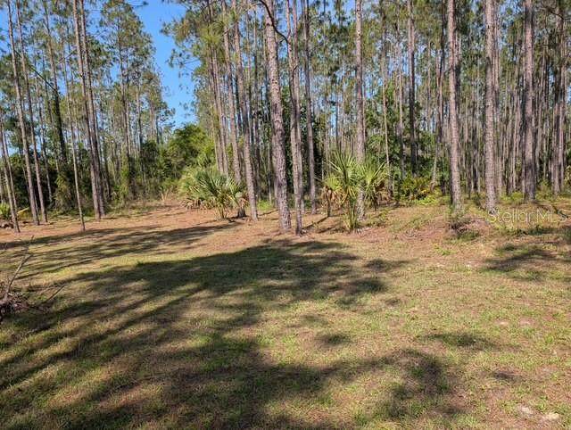 540 326TH Avenue - Photo 1