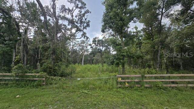  Table Rock Drive - Photo 1