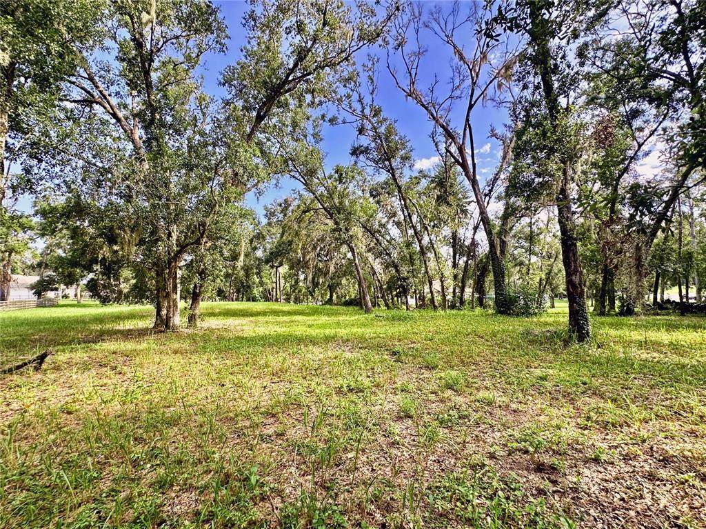 35174 Roth Lane - Photo 1