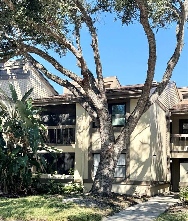 247 Woodlake Wynde - Photo 1