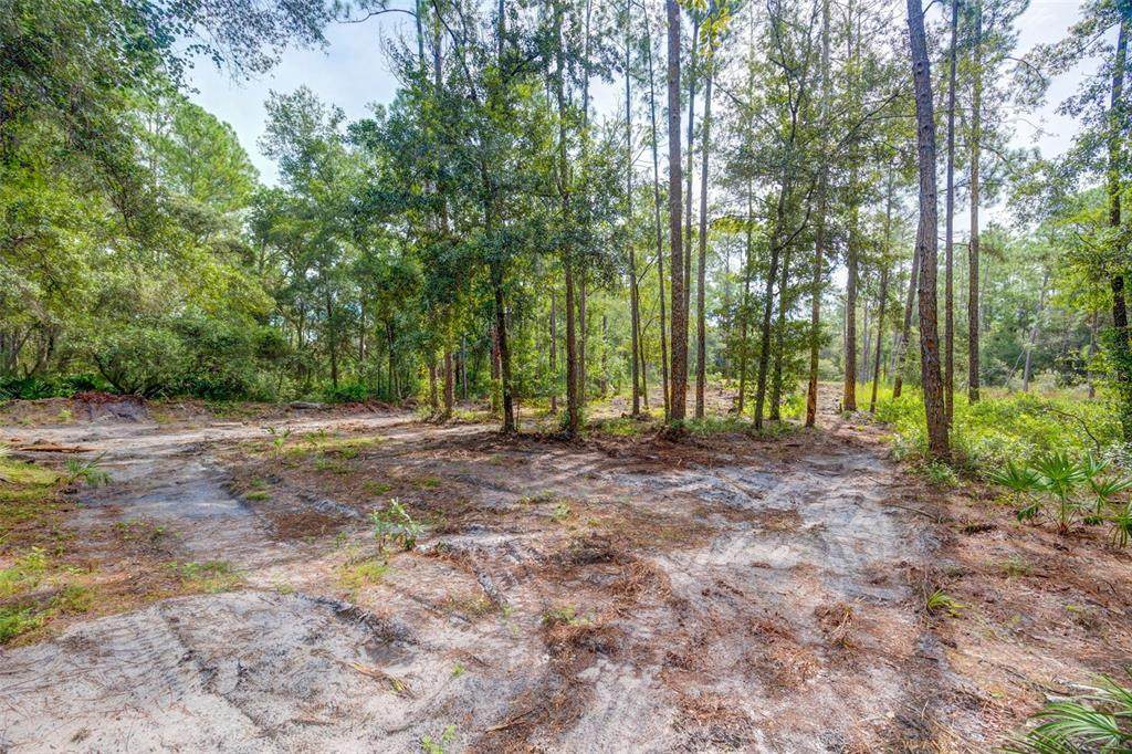 34389 Grindstone Drive - Photo 1