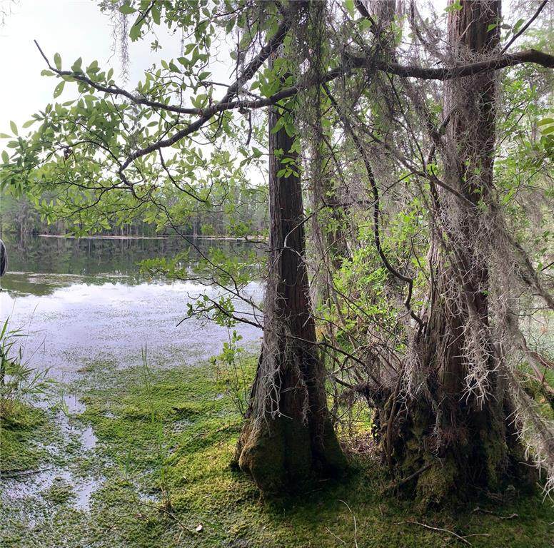  Sw Tower Road - Photo 1