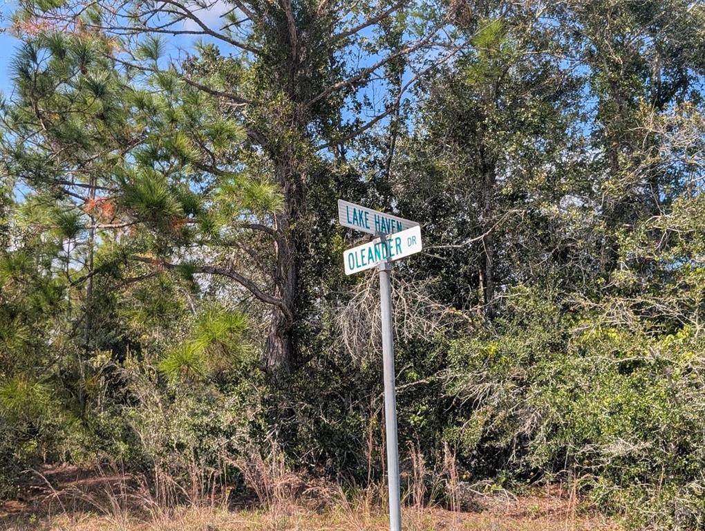  Oleander Drive - Photo 1