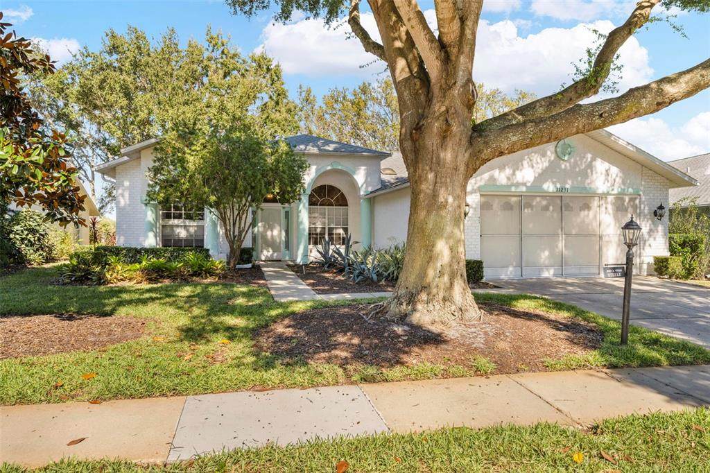 11231 Sun Tree Road - Photo 1