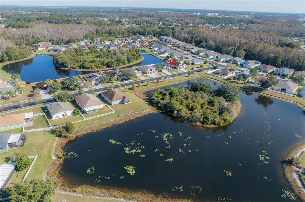 31203 Hannigan Place - Photo 1