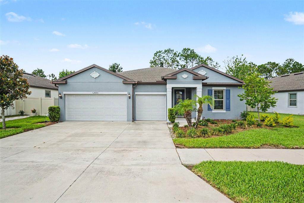 12593 Palapa Loop - Photo 1