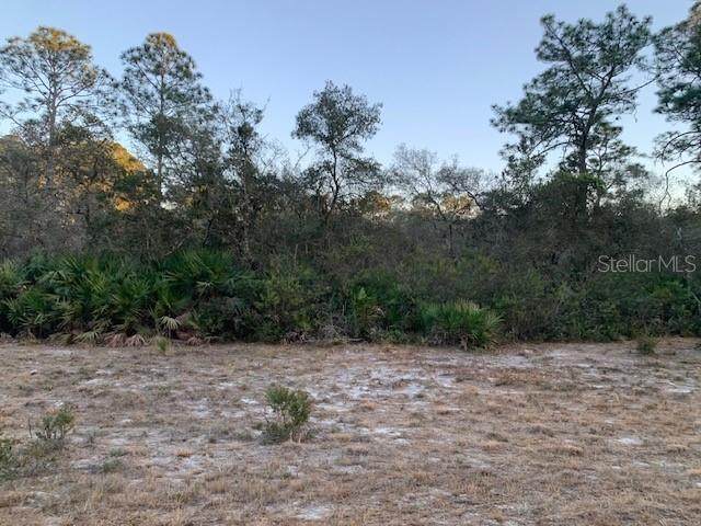 131 Edgemere Drive - Photo 1