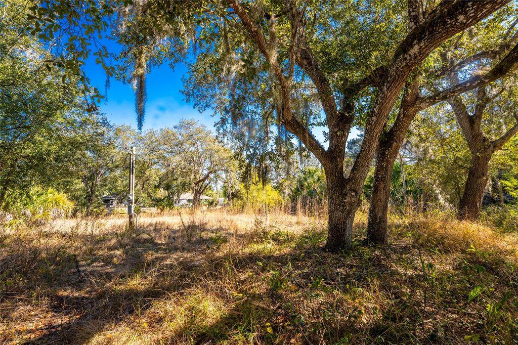 27362 San Carlos Drive - Photo 1