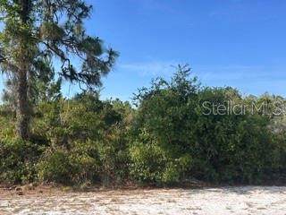 713 (BLK 123 LOTS 15 Camellia Drive - Photo 1