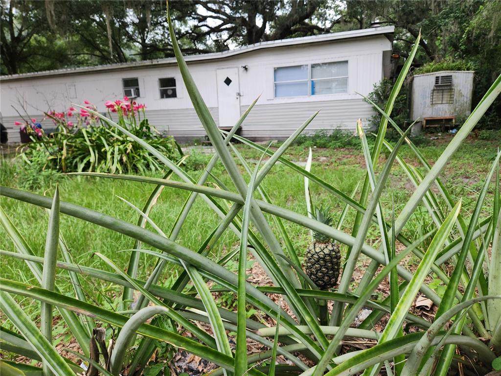 24815 Audrey Road - Photo 1