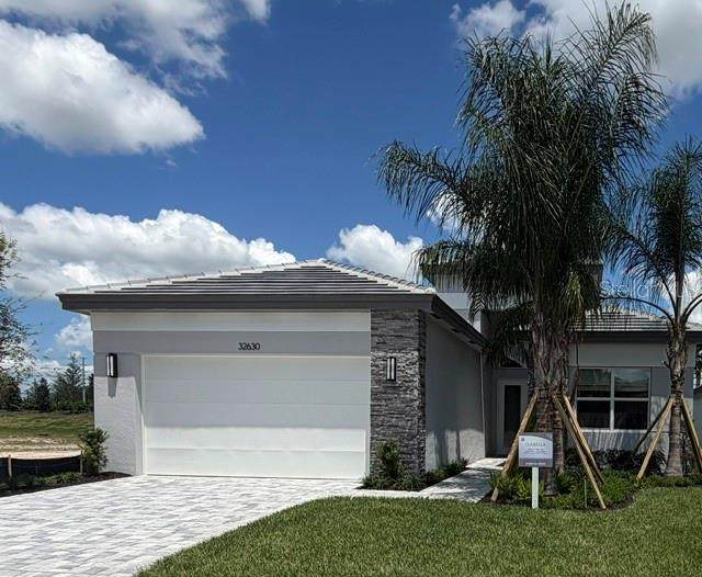 32630 Neroli Street - Photo 1