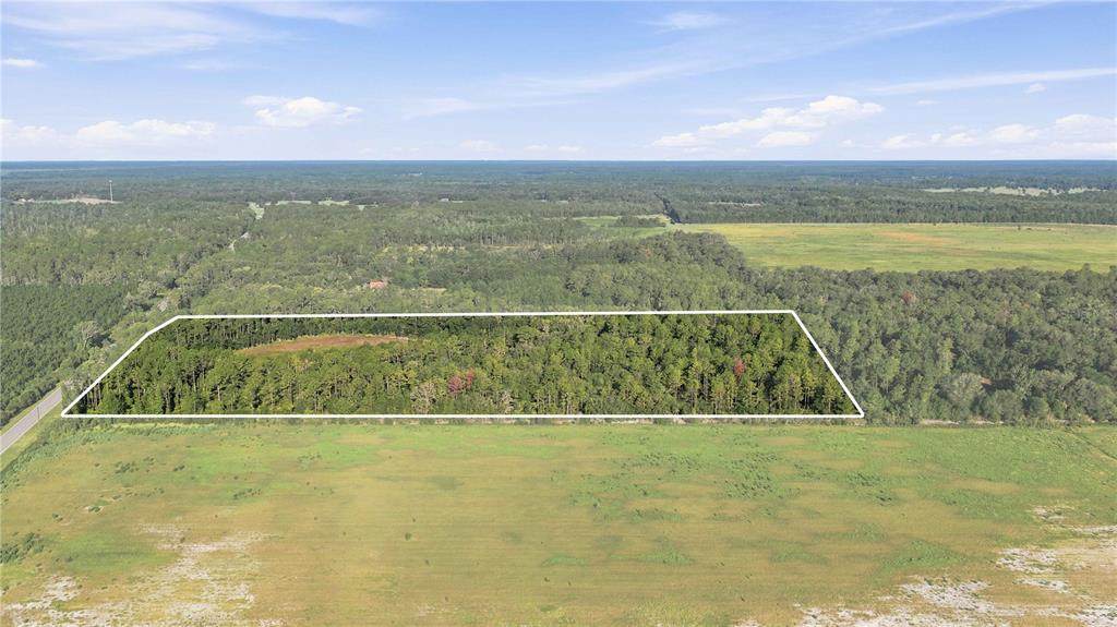 0 E Highway 318 - Photo 1