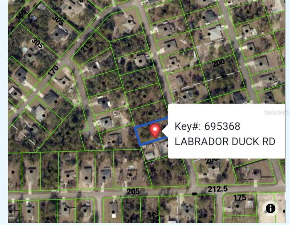 11335 Labrador Duck Road - Photo 1