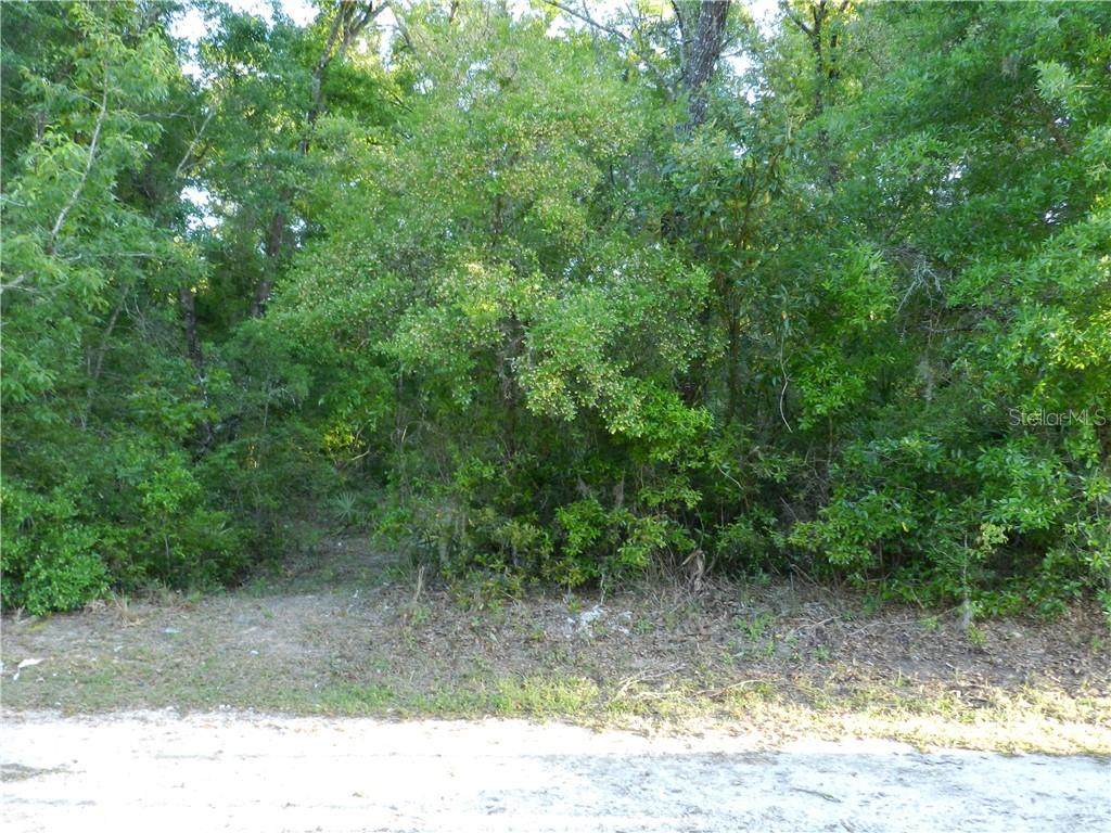 424TH Avenue - Photo 1