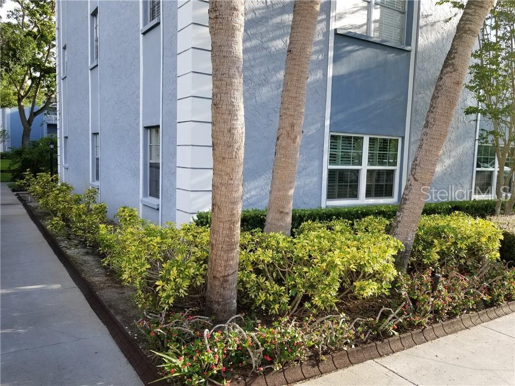 1706 Belleair Forest Drive - Photo 1