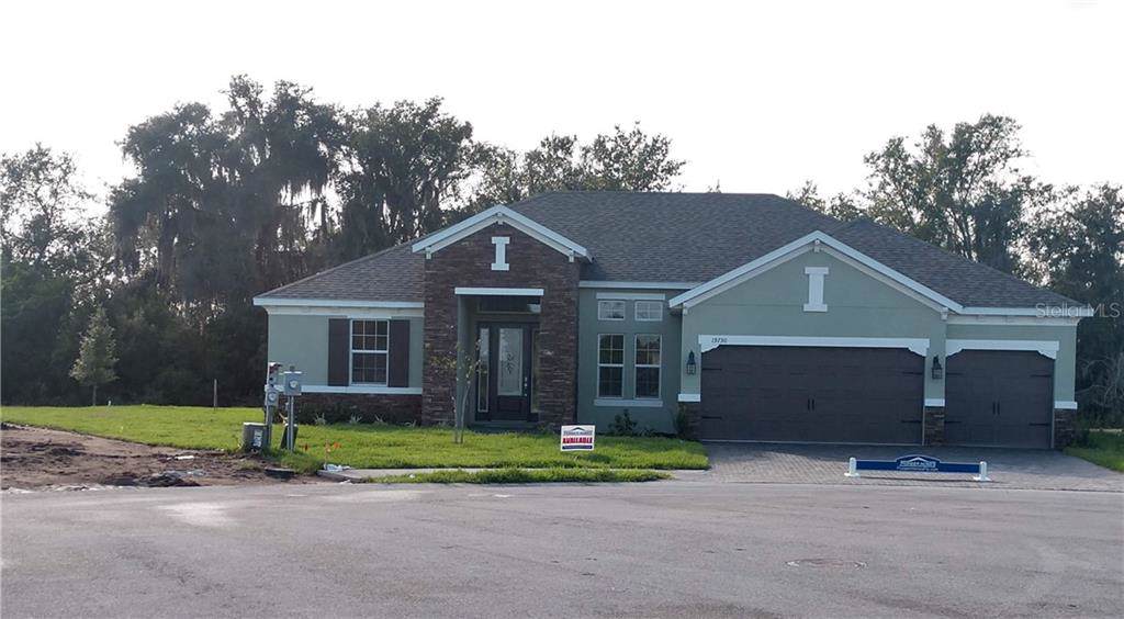 19730 Preservation Woods Drive - Photo 1