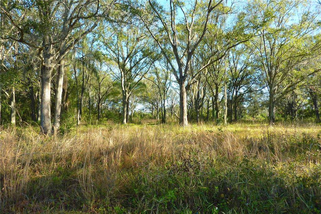 6712 Land O Lakes Boulevard - Photo 1