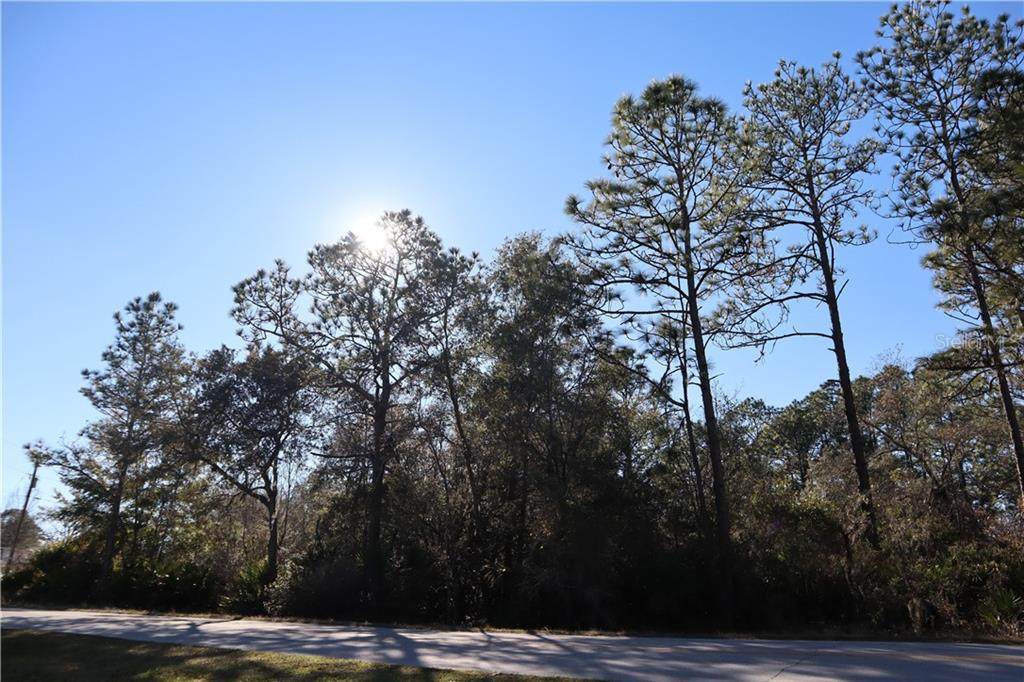 7931 Delta Court - Photo 1