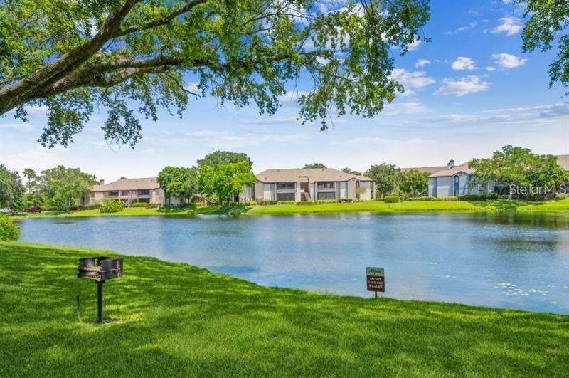 10263 Gandy Boulevard - Photo 1