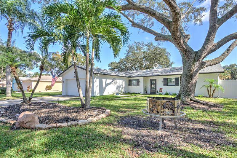 10619 Seminole Forest Street - Photo 1