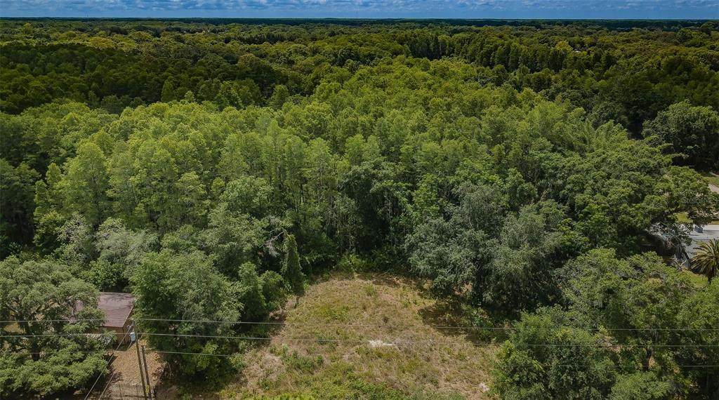 10086 Hilltop Drive - Photo 1