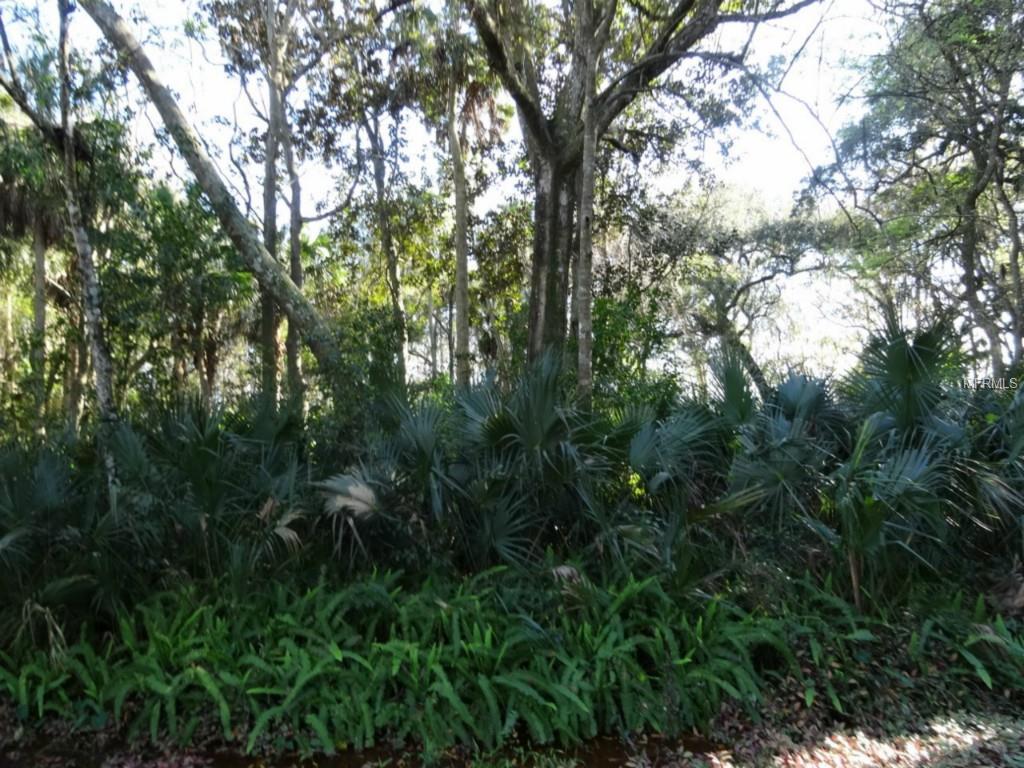 328 Lake Crescent Drive - Photo 1