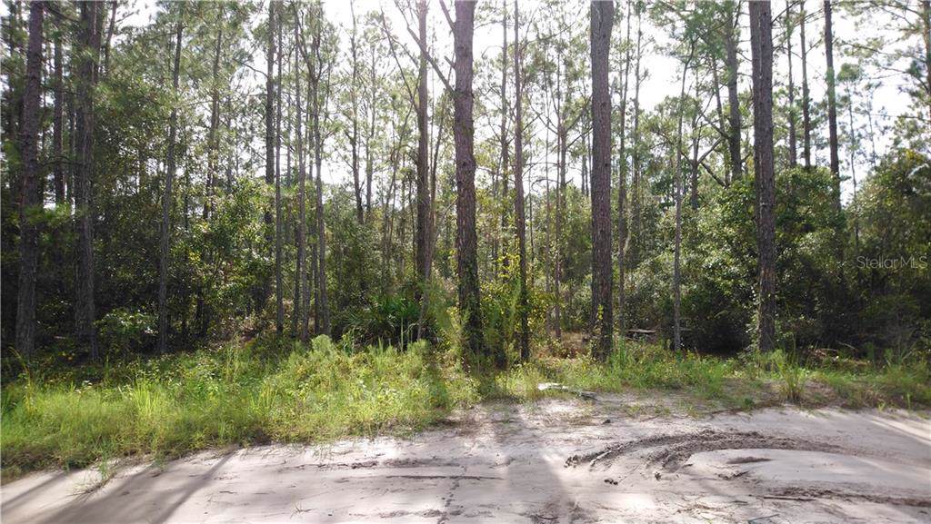 12TH Avenue - Photo 1