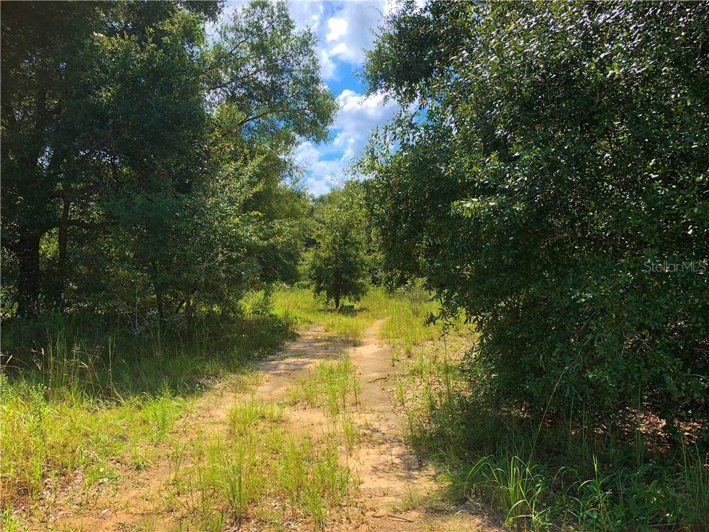1009 Independence Highway - Photo 1