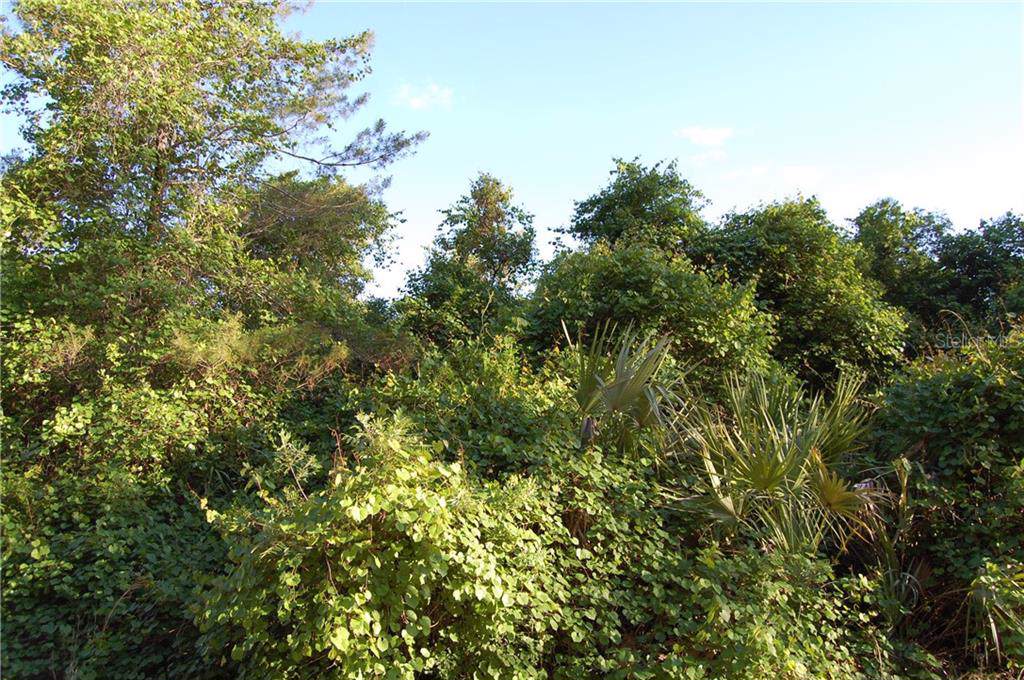 Oakwood Road - Photo 1
