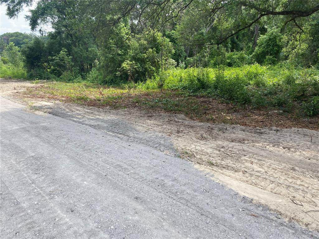 28458 172ND Street - Photo 1