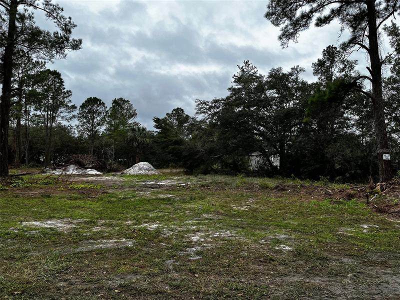 41741 Sweet Bay - Photo 1