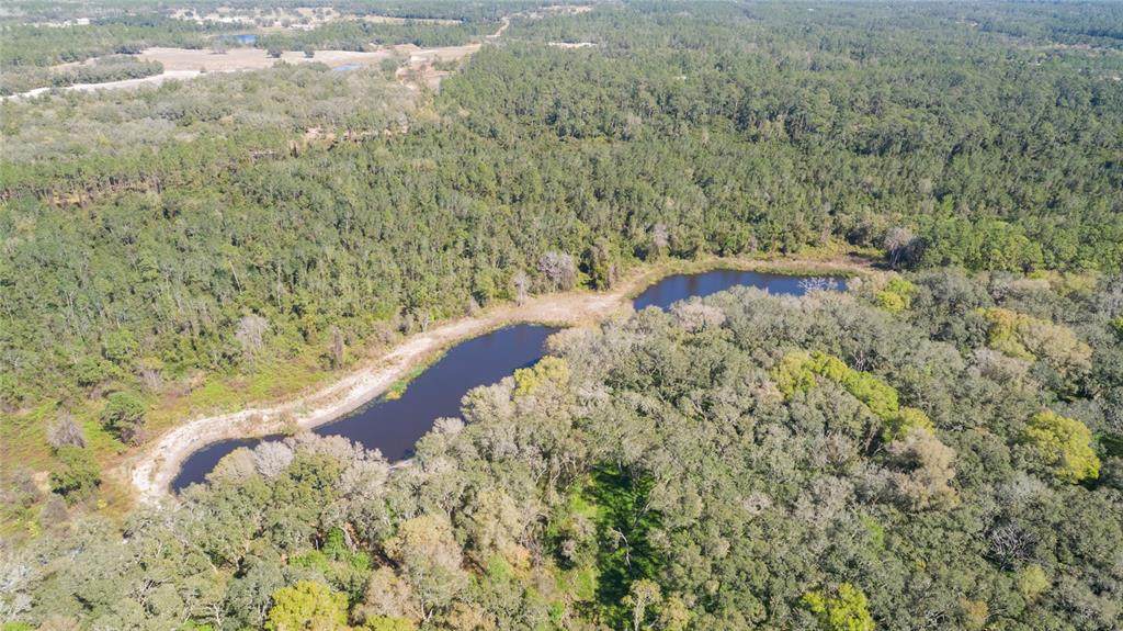 00 Shaw Lake Road - Photo 1