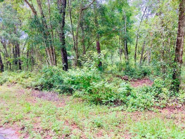 407 Raulerson Road - Photo 1