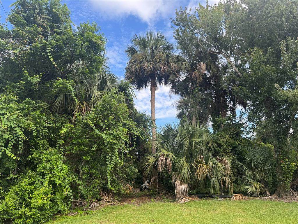 4015 Waterbridge Circle - Photo 1