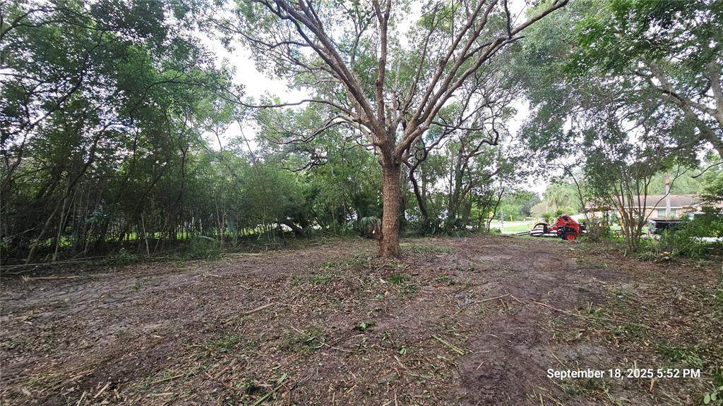 691 Piedmont Drive - Photo 1