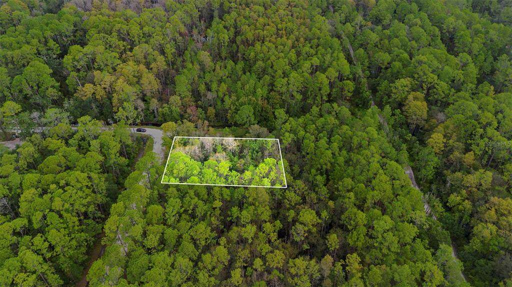  East Parkway - Photo 1