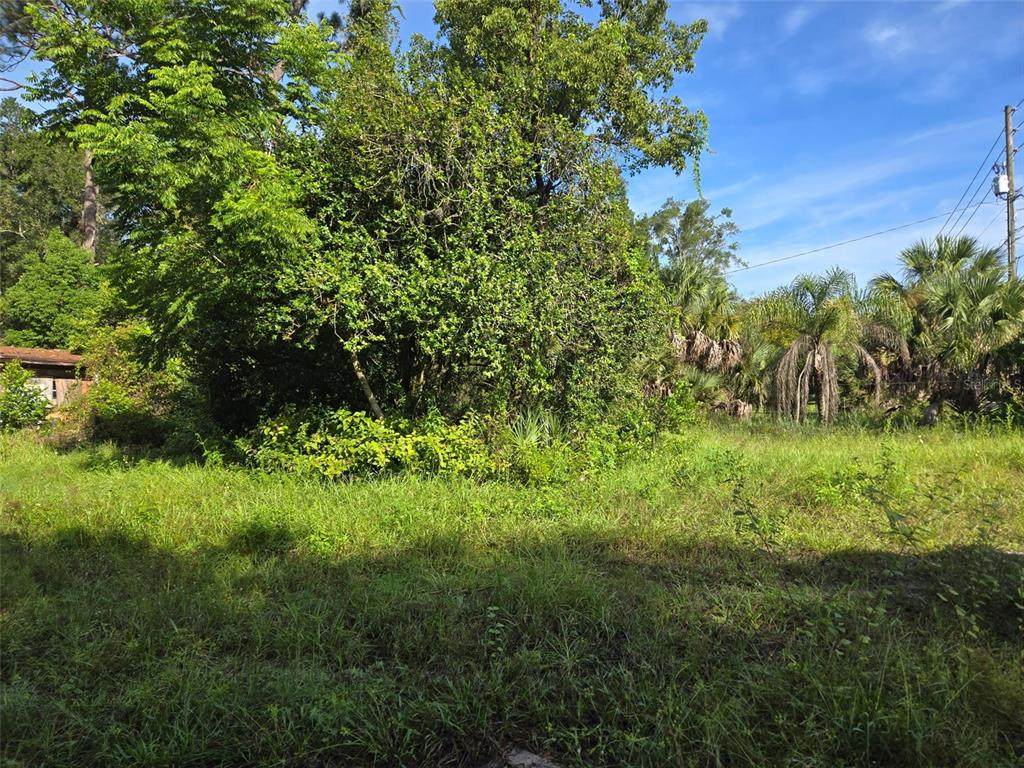 5028 Mount Plymouth Road - Photo 1