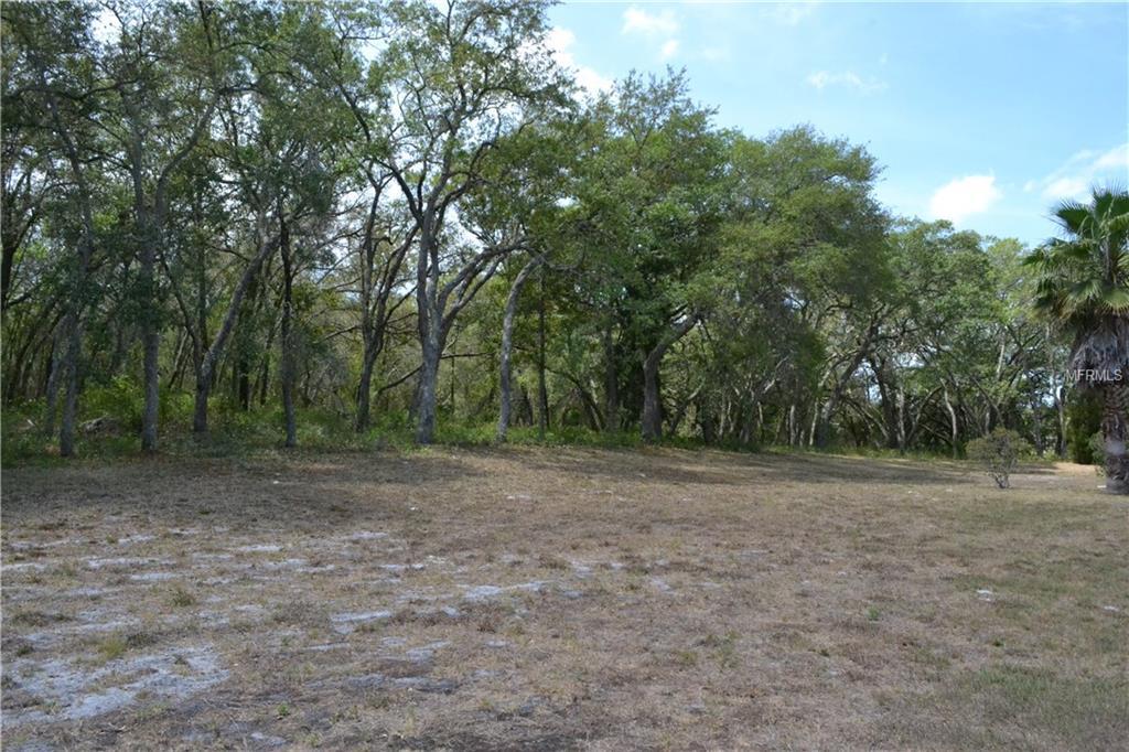 12947 Brutus Drive - Photo 1