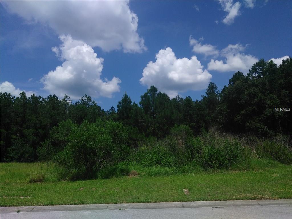 0 Elm Leaf Drive - Photo 1