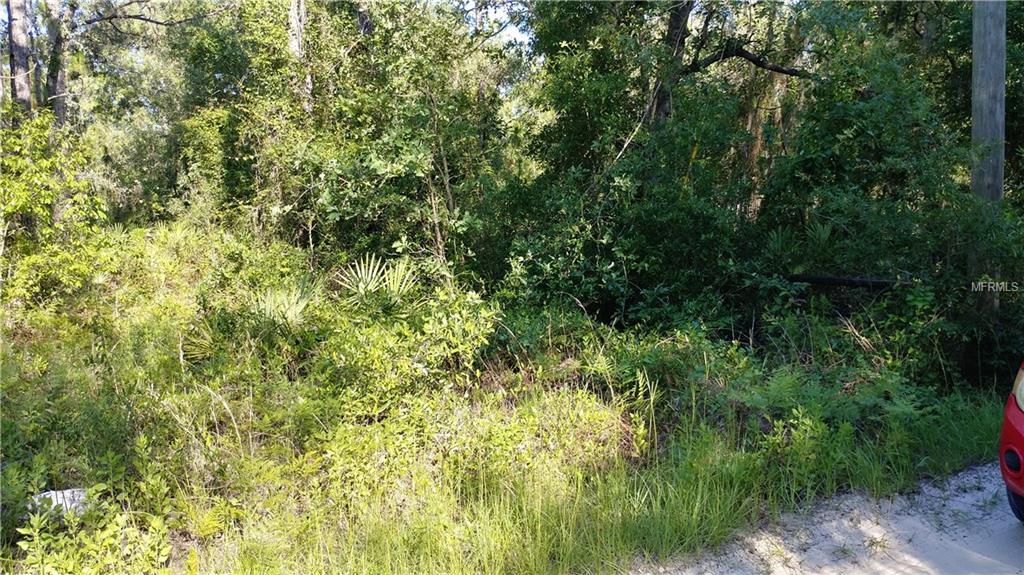 4829 N Mattox Pt - Photo 1