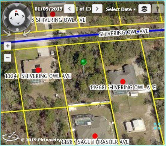 11258 Shivering Owl Avenue - Photo 1