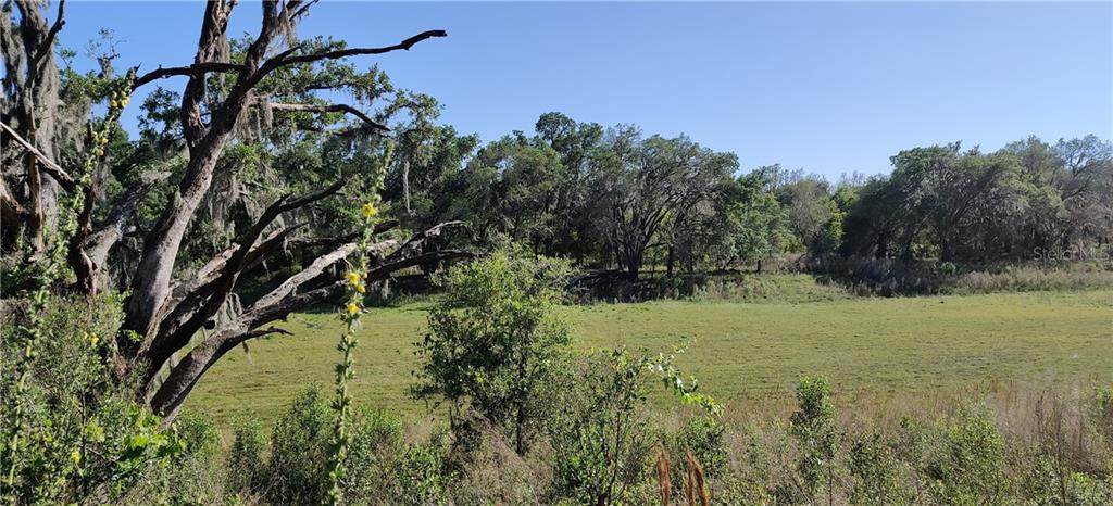 0 Mondon Hill And Wpa Road Road - Photo 1