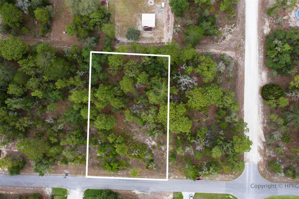 11112 Campfield Road - Photo 1