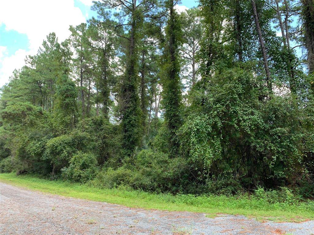 8767 Ramble Point - Photo 1