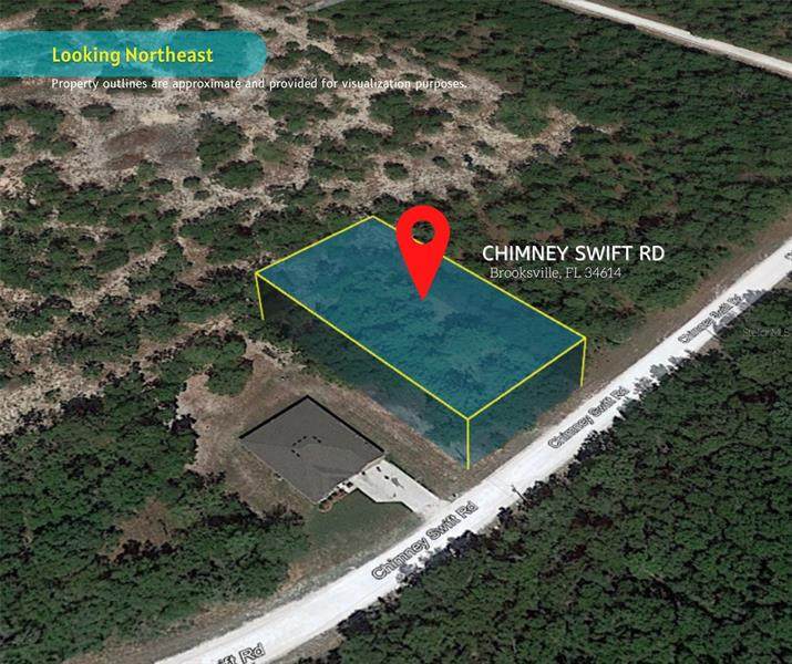 Chimney Swift Road - Photo 1