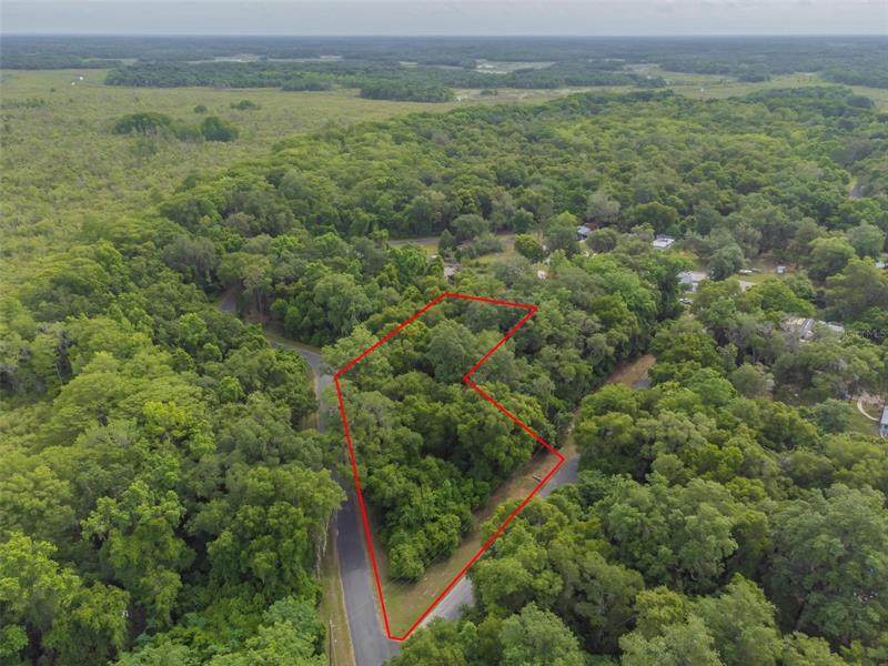 10538 Boblink Lane - Photo 1