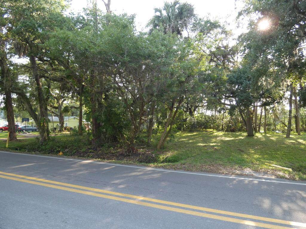 0 Aripeka Road - Photo 1