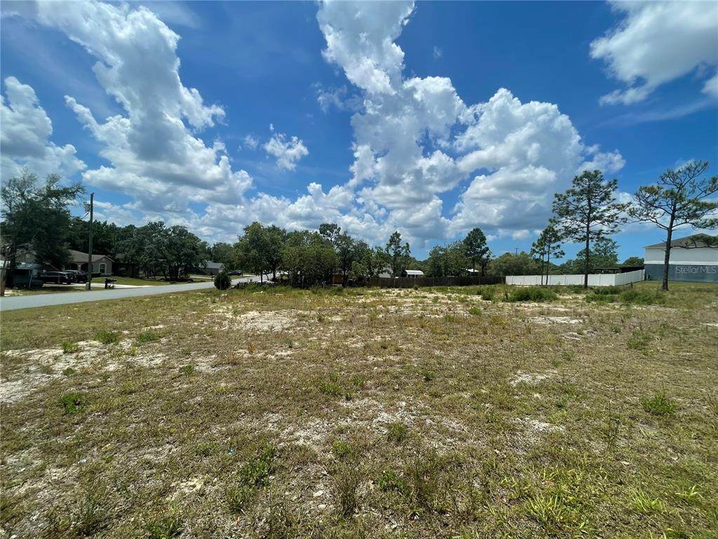 12308 Wolf Den Road - Photo 1